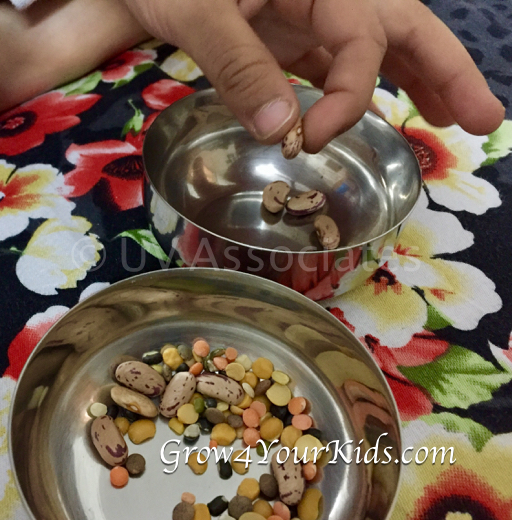 Little Child Sorting Pulses Little Child Sorting Pulses